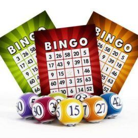 Bingo Online – O Guia Completo