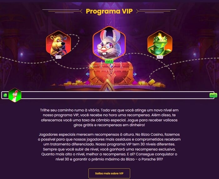 Bizzo Casino Vip Program Image